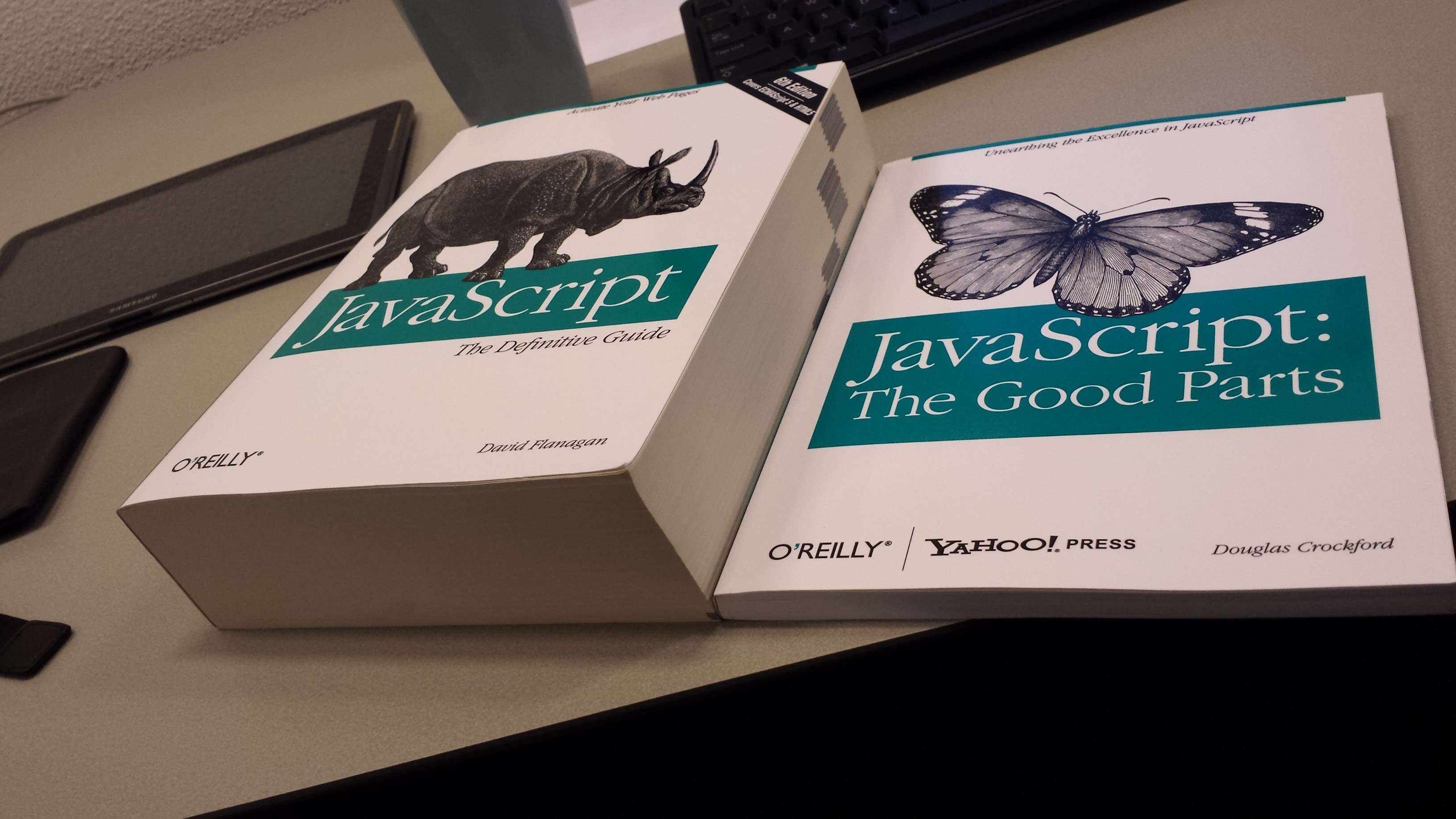 O’reilly’s JavaScript The Definitive Guide and JavaScript The Good Parts side by side